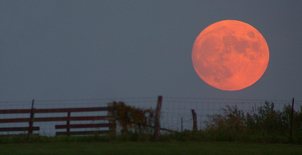 Why Is the Harvest Moon Big and Red?